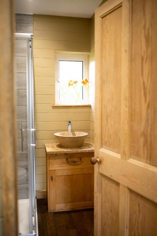 The Countryside Cabin With Private Hot Tub Lejlighed New Quay Eksteriør billede